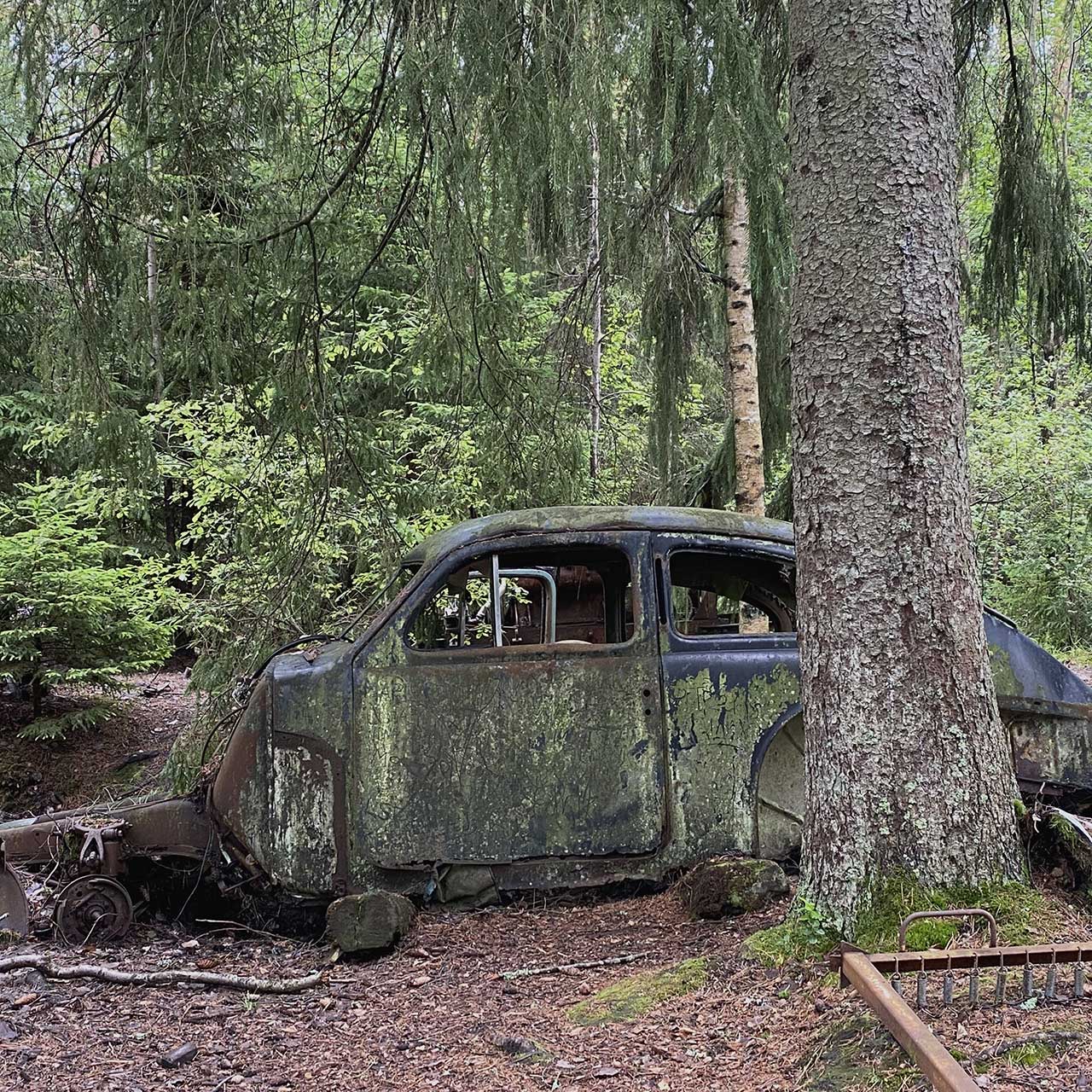 Bilkirkegaarden-i-Ryd_sverige Inspiration til den grønne, matte glasur – bilkirkegården i Ryd i Sverige